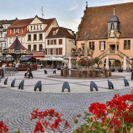 Studio Cosy A Molsheim Calme, Centre-Ville Et Acces Strasbourg 外观 照片